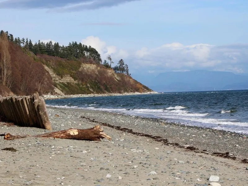 Coastal cliffs and driftwood along the Comox Valley shoreline